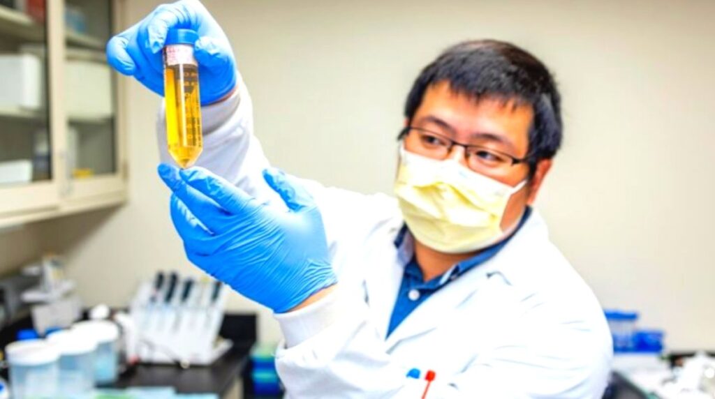 coronavirus